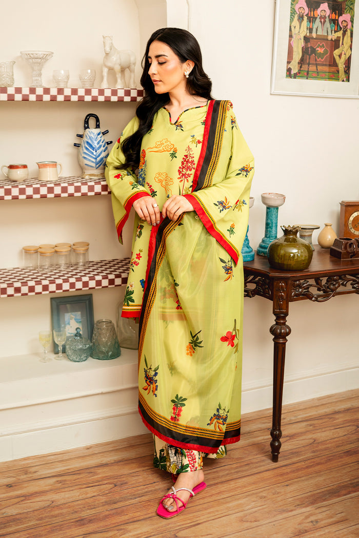 Gulnaar Kurta Set with dupatta